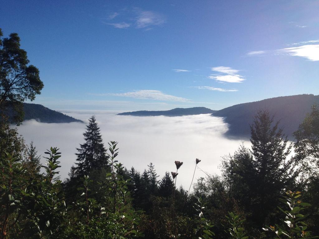 Moon Water Lodge Malahat الغرفة الصورة